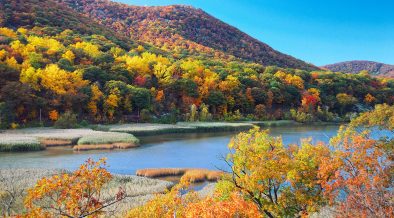 5 Gorgeous Westchester County Trails for Seeing Fall Foliage - Vimarsana News