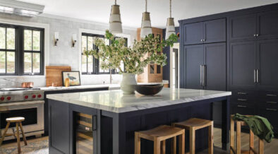 Studio Dearborn Transforms This Kitchen for a Young Family - Vimarsana News