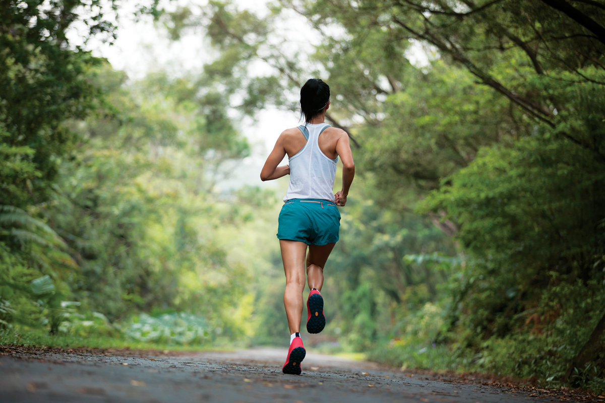 The Ultimate Guide to Outdoor Activities in Westchester