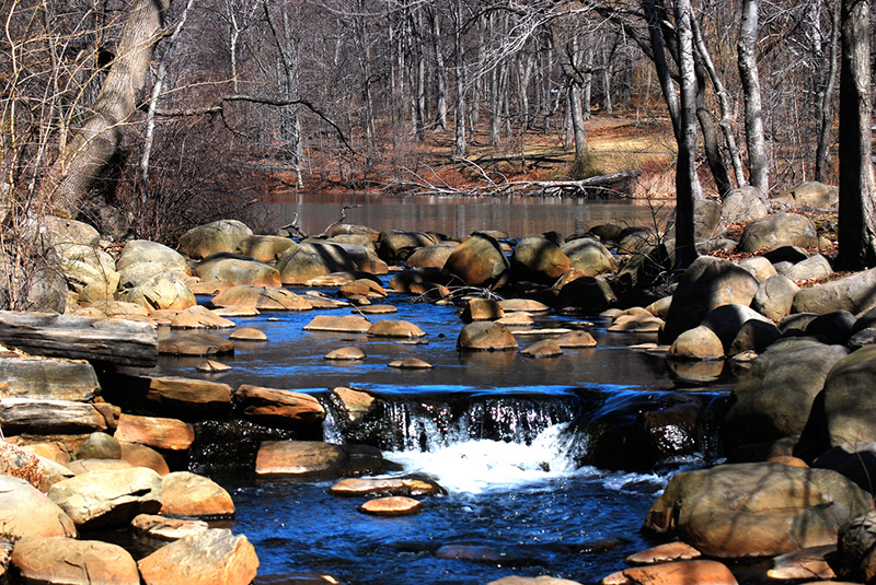 tibbetts brook park