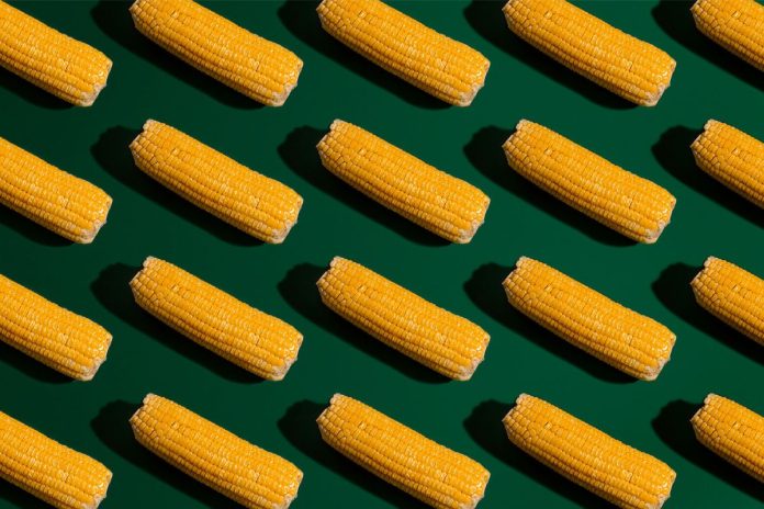 street corn salad