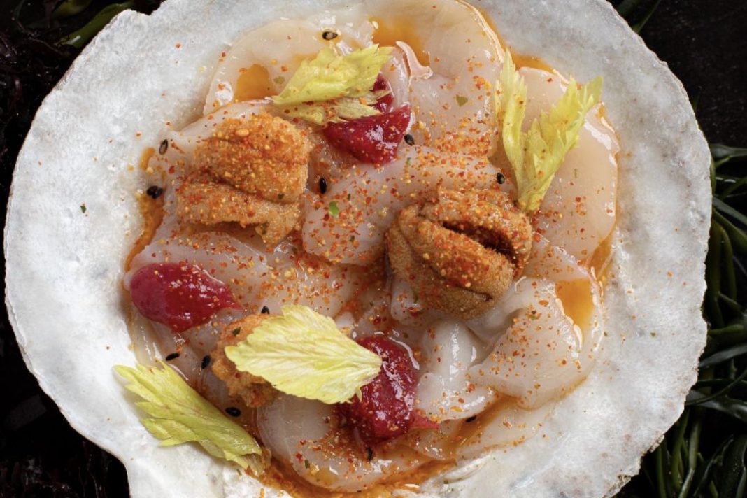 scallops