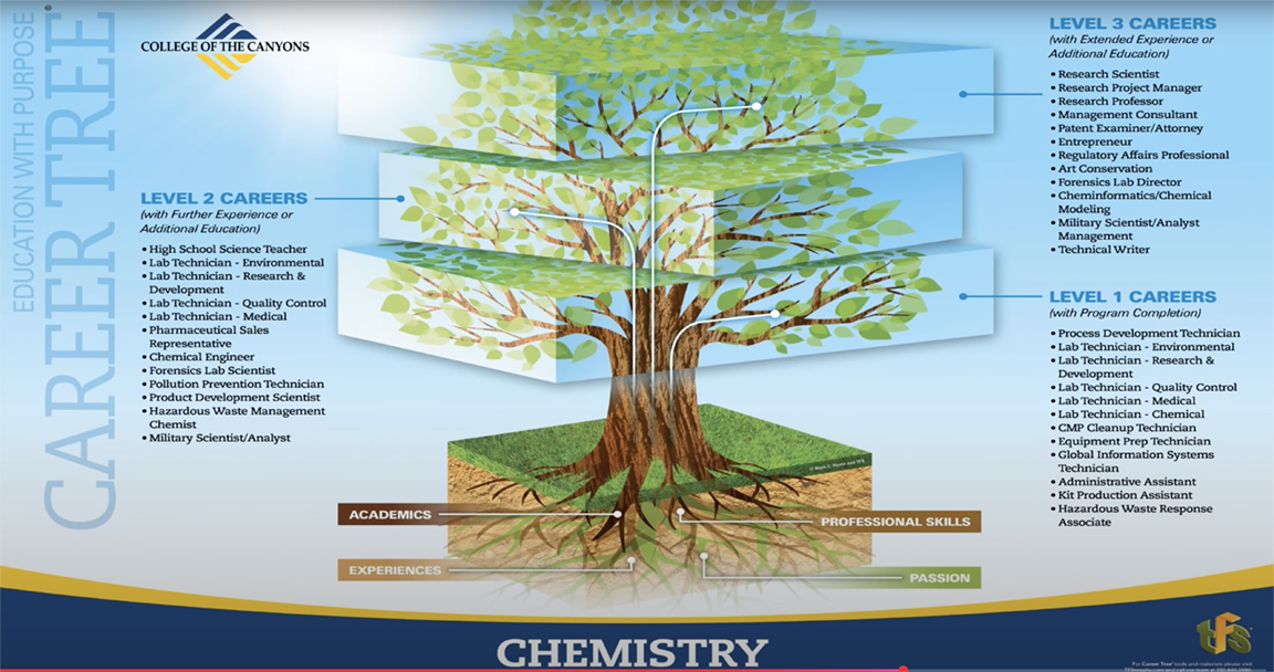 Career Trees Can Support Job Clarity for Westchester Students