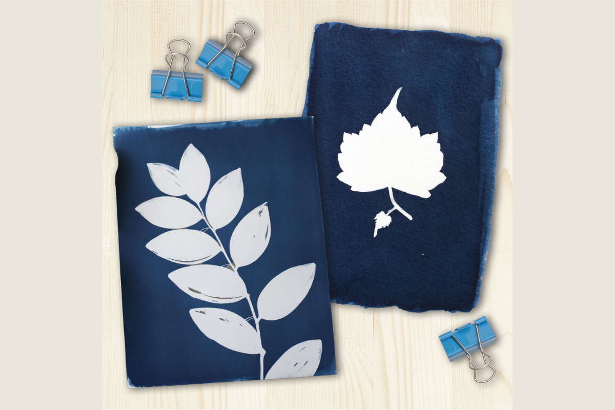 A Scarsdale Artist Shares How to Cyanotype for Beginners