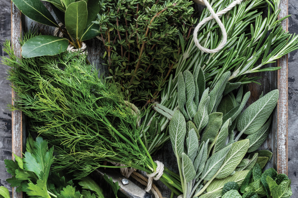 The Annual Herb Fair & Market Returns to Caramoor